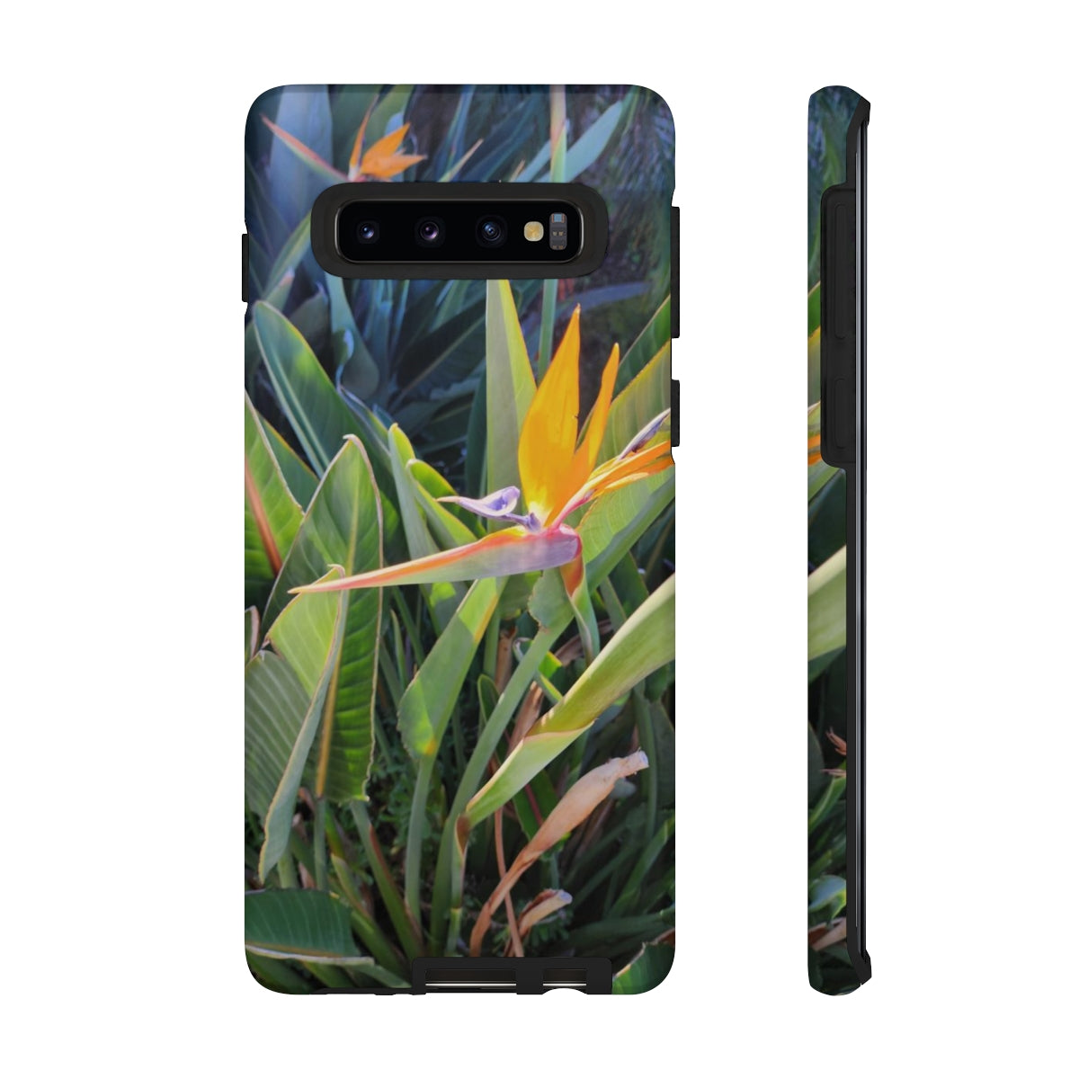 Island Style Bird of Paradise Tough Cases