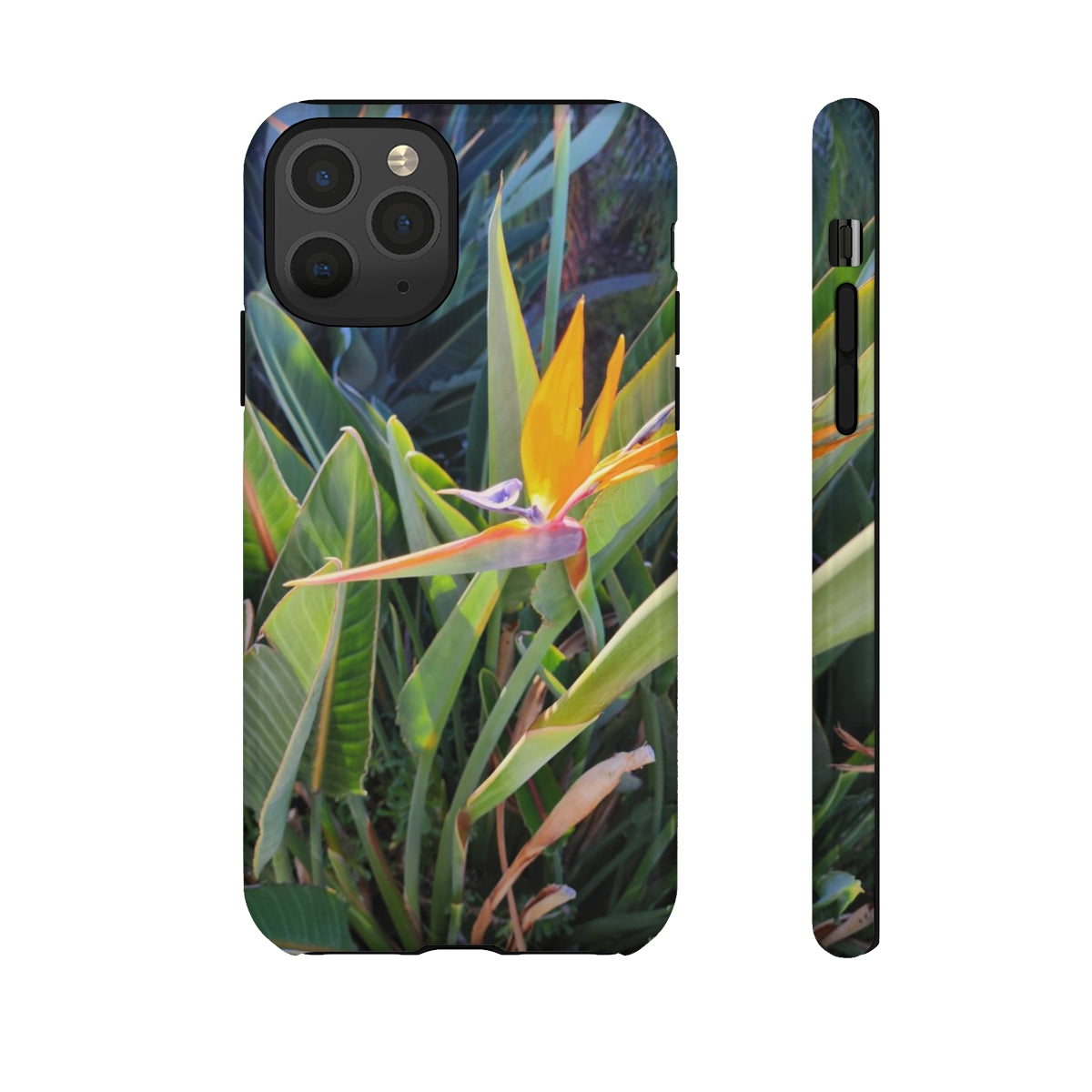 Island Style Bird of Paradise Tough Cases