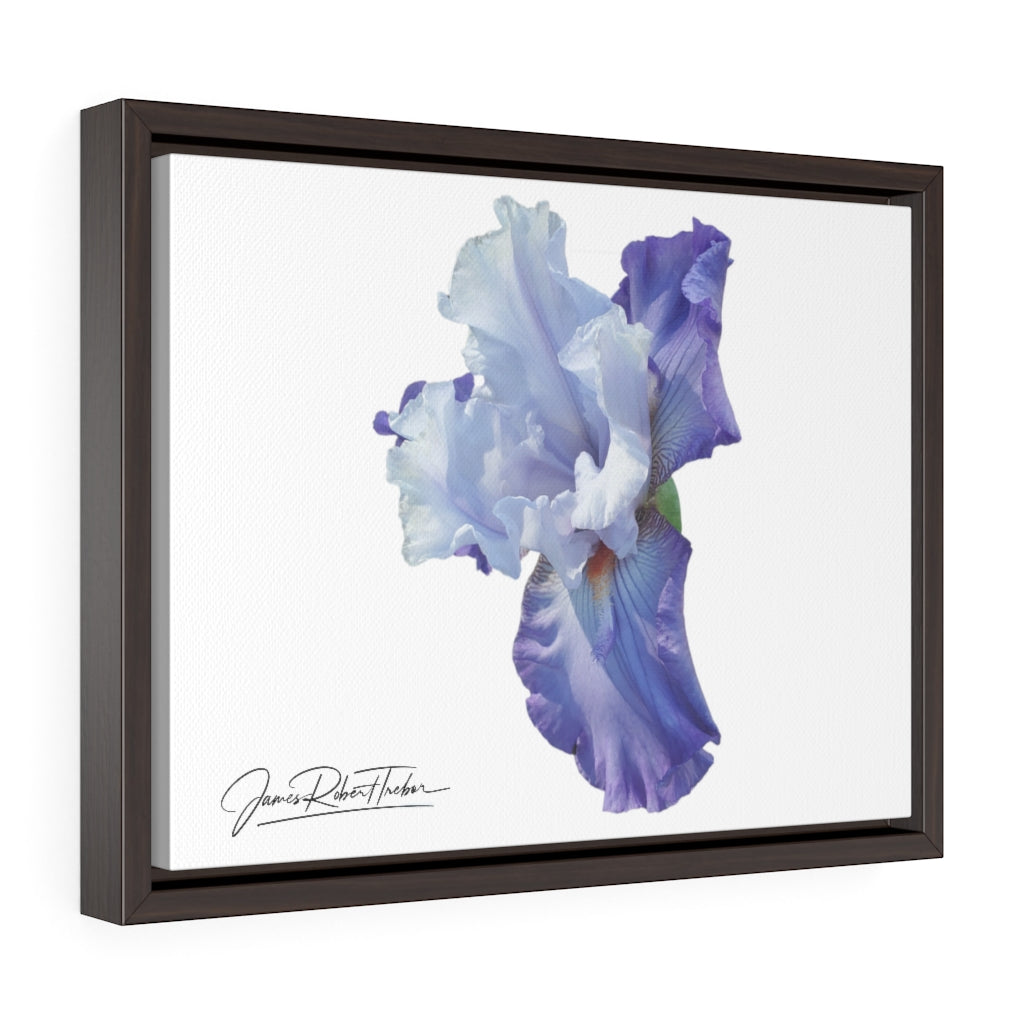 "Lavender Iris" Gallery Canvas Wrap, Horizontal Frame