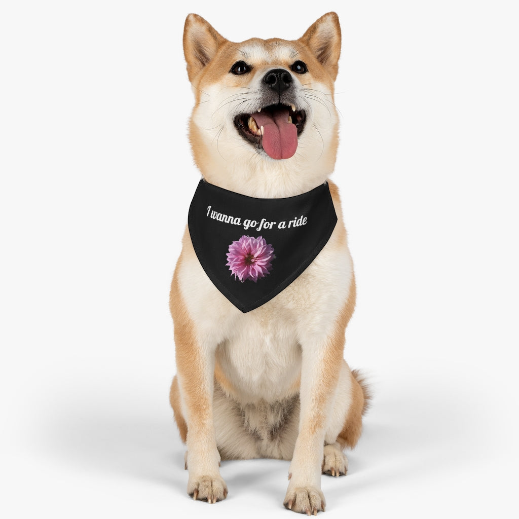 Floral "Perfectly Pink" "I wanna go for a ride" Pet Bandana Collar - White print