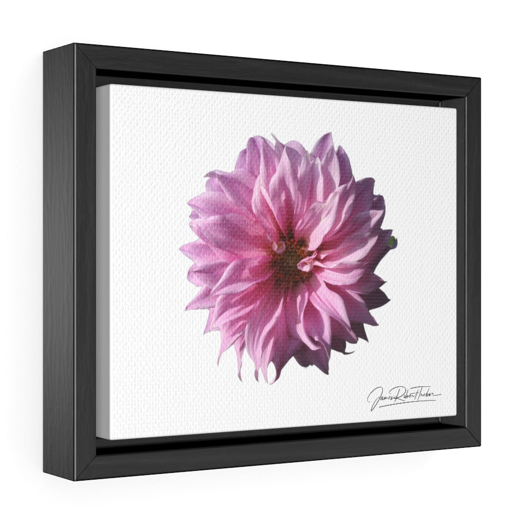 "Perfectly Pink" Gallery Canvas Wrap, Horizontal Frame