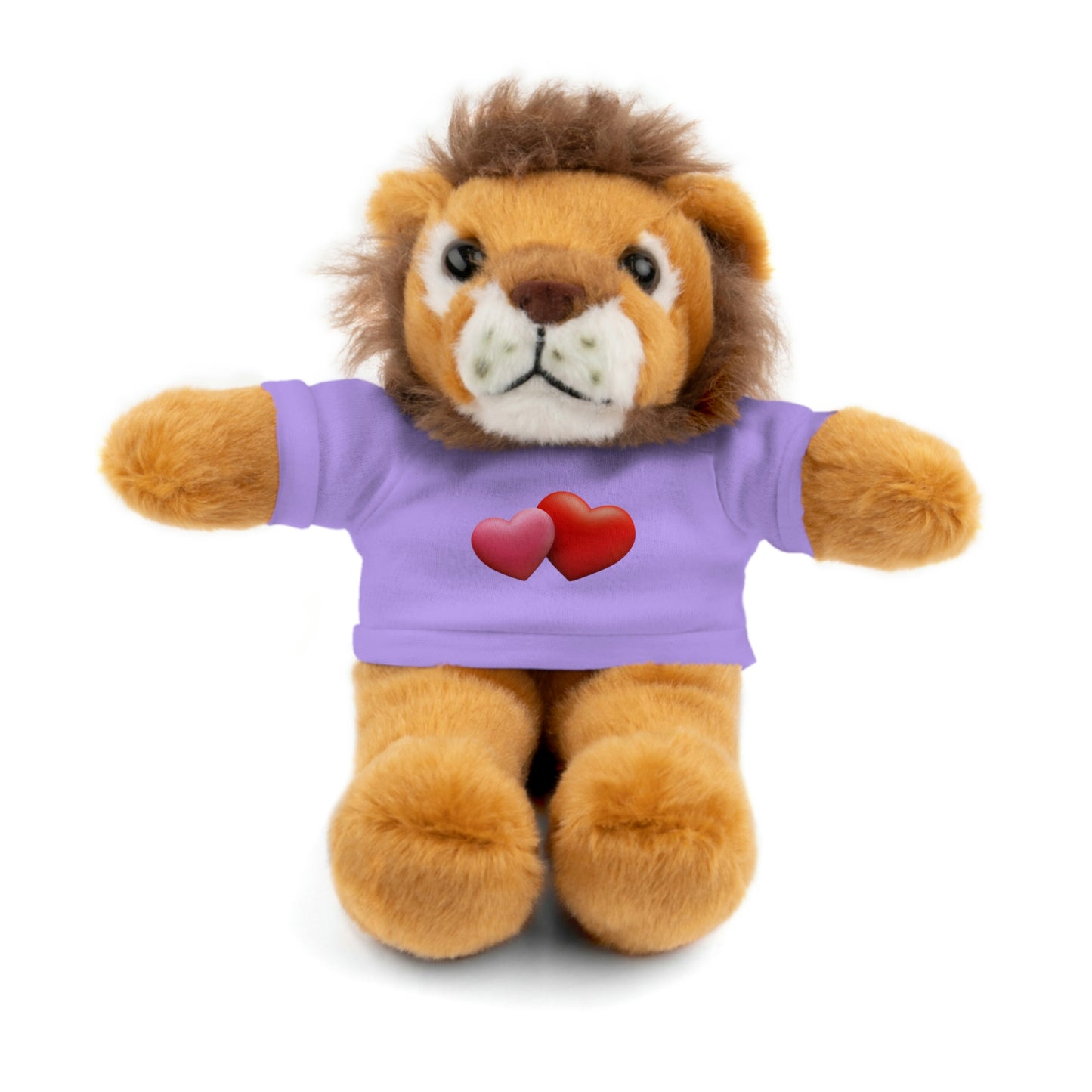 Valentine's Hearts Stuffed Animals with Tee