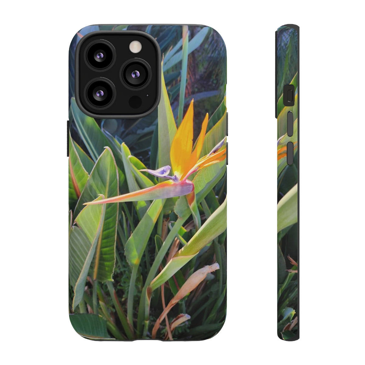 Island Style Bird of Paradise Tough Cases