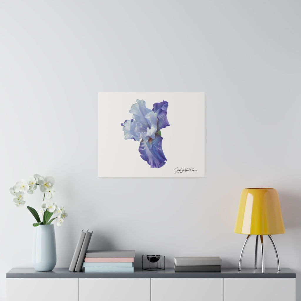 "Lavender Iris" Matte Canvas, Stretched