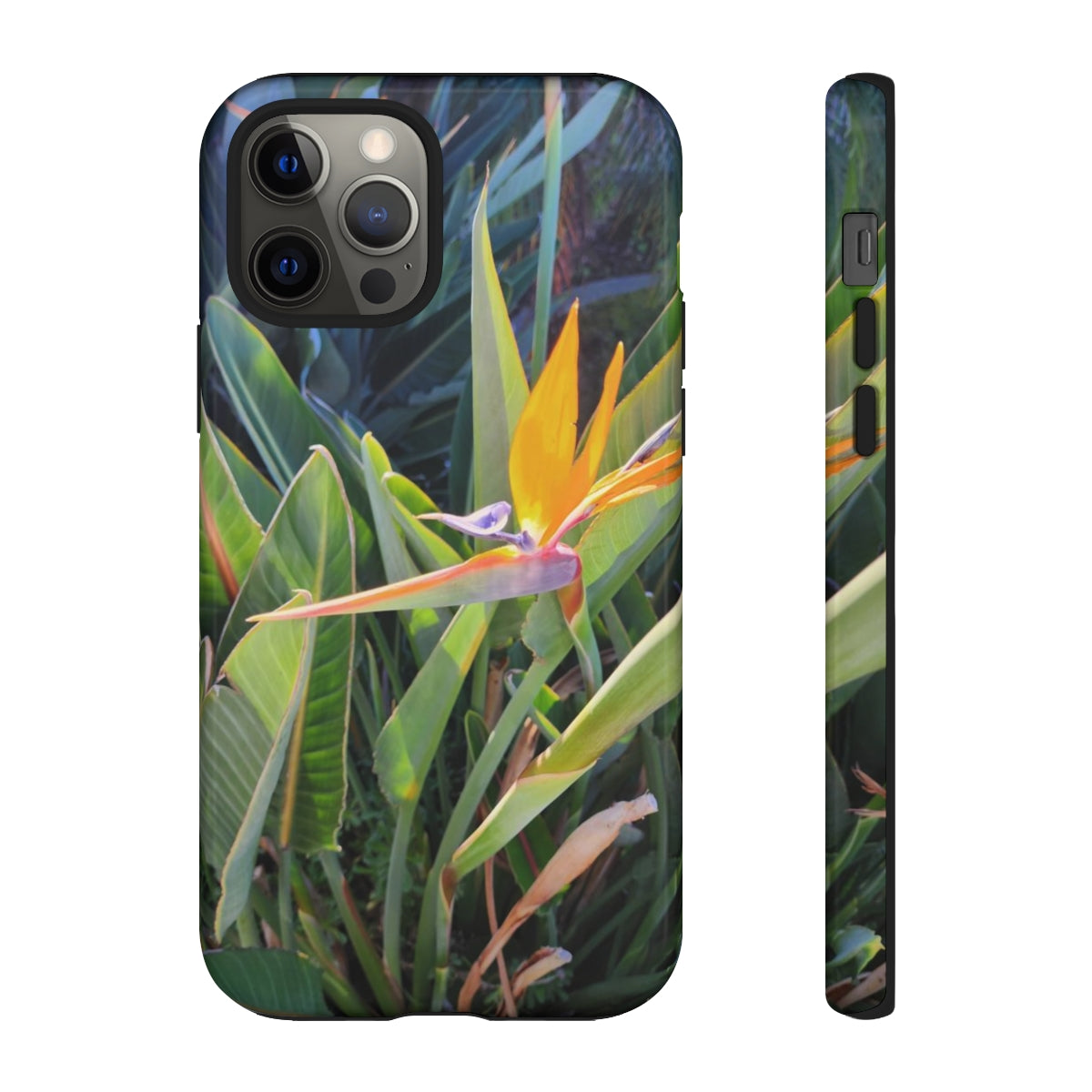 Island Style Bird of Paradise Tough Cases