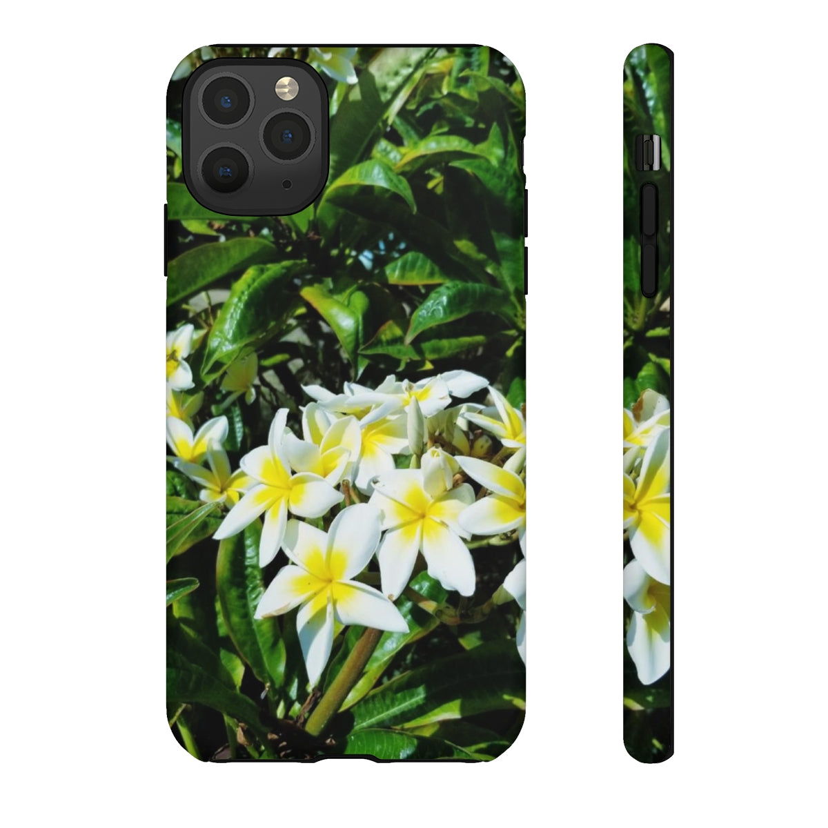 Island Style Plumeria Tough Cases