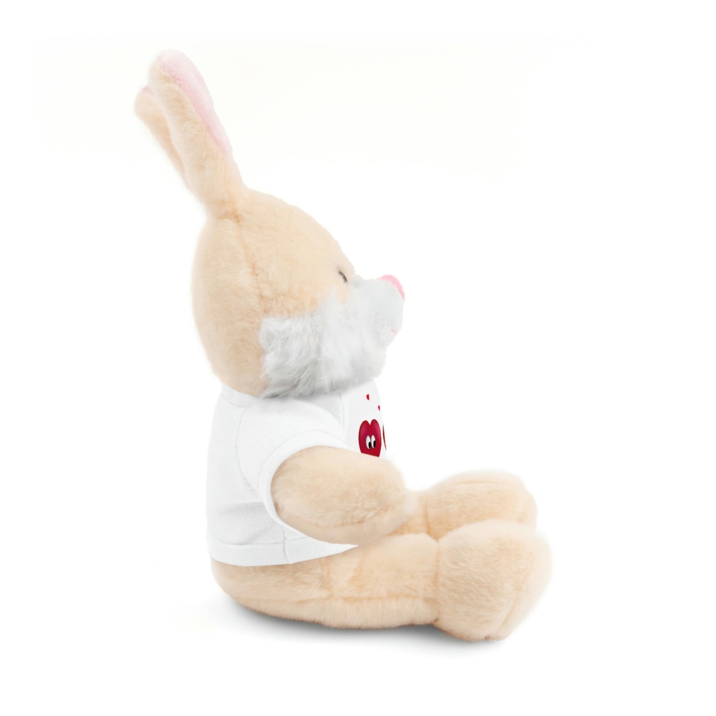 Valentine's "Be Mine" Stuffed Animals with Tee