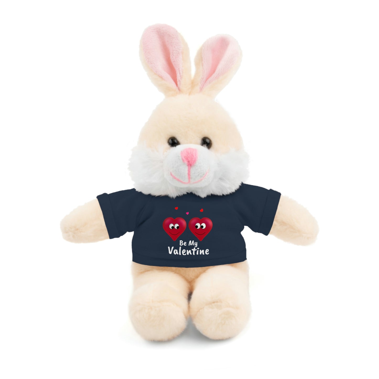 Valentine's "Be My Valentine" Stuffed Animals with Tee