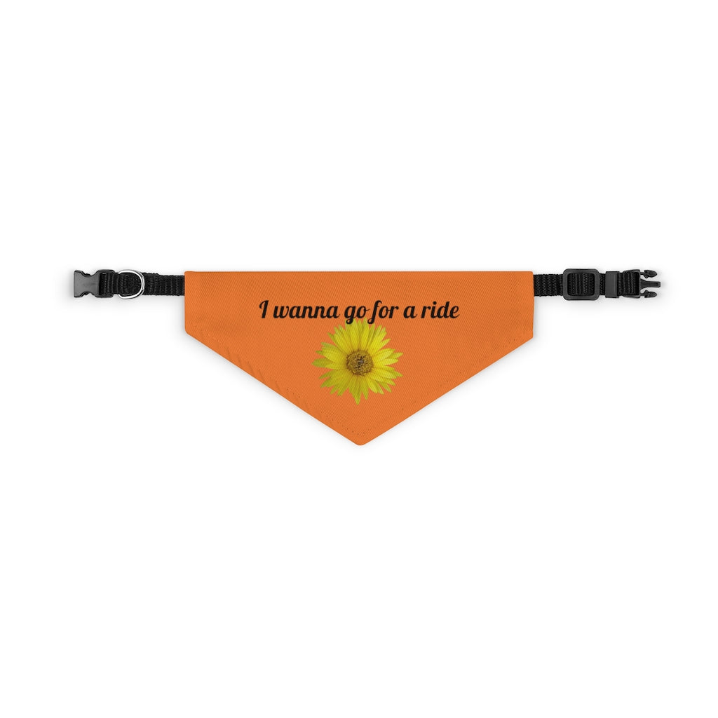 Floral "Daisy Mum" "I wanna go for a ride" Pet Bandana Collar - Black print