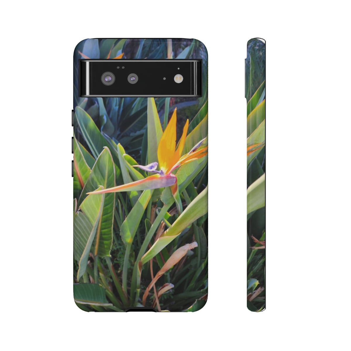 Island Style Bird of Paradise Tough Cases