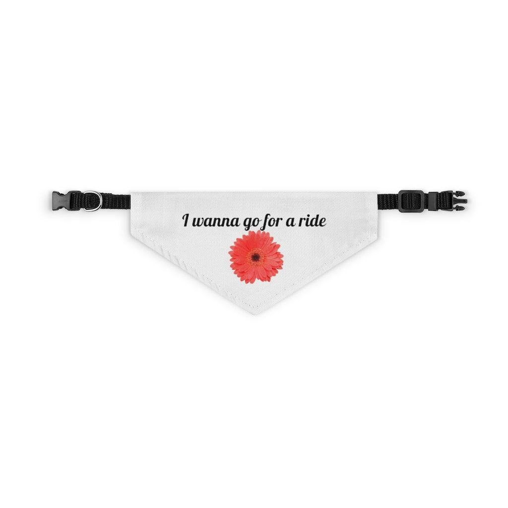 Floral "Gerber" "I wanna go for a ride" Pet Bandana Collar - Black print