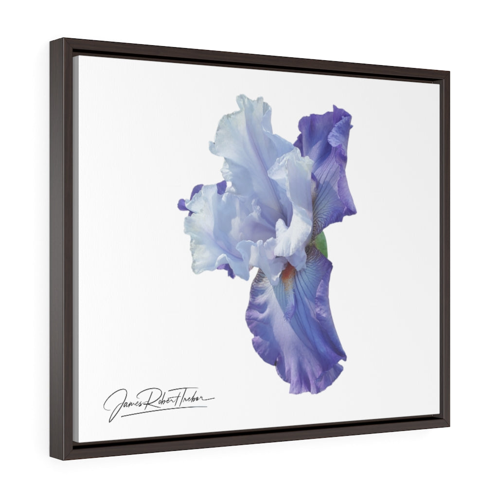 "Lavender Iris" Gallery Canvas Wrap, Horizontal Frame