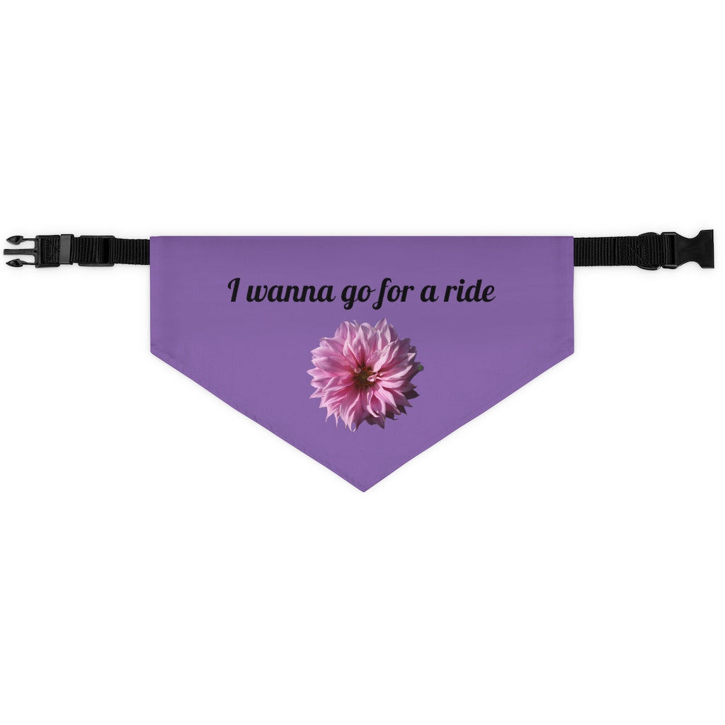 Floral "Perfectly Pink" "I wanna go for a ride" Pet Bandana Collar - Black print