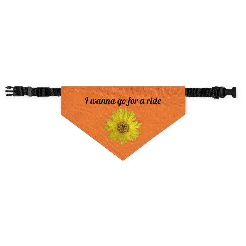 Floral "Daisy Mum" "I wanna go for a ride" Pet Bandana Collar - Black print