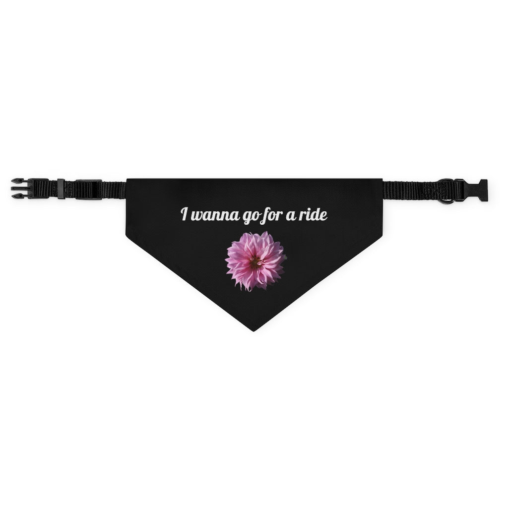 Floral "Perfectly Pink" "I wanna go for a ride" Pet Bandana Collar - White print