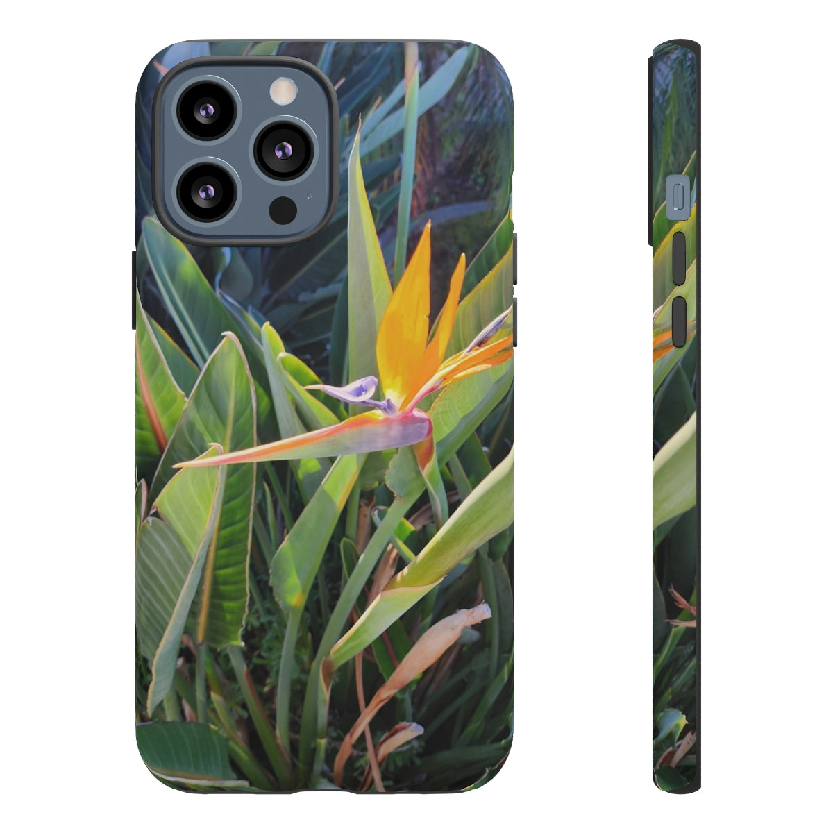 Island Style Bird of Paradise Tough Cases