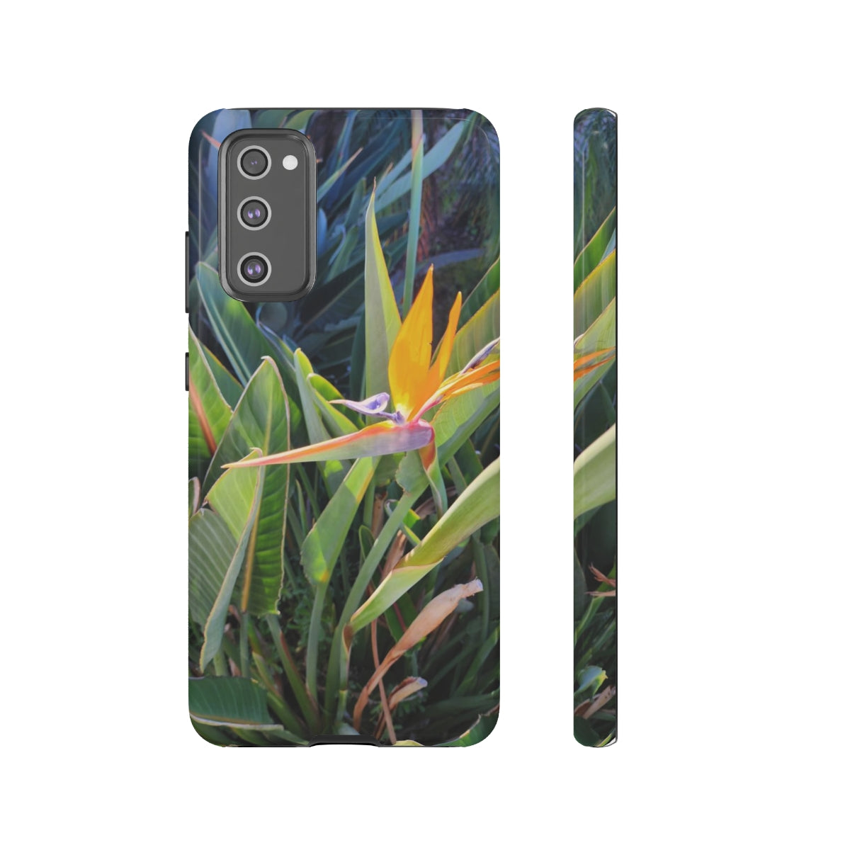 Island Style Bird of Paradise Tough Cases