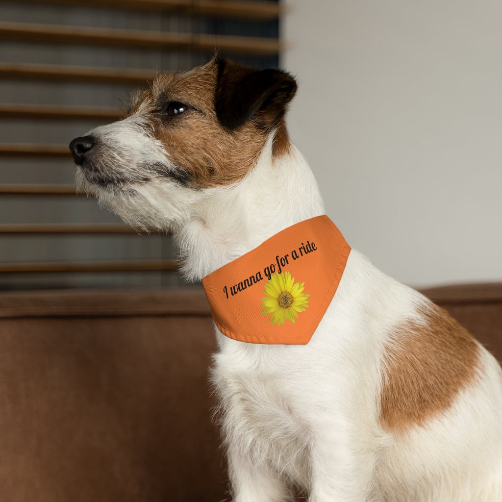 Floral "Daisy Mum" "I wanna go for a ride" Pet Bandana Collar - Black print