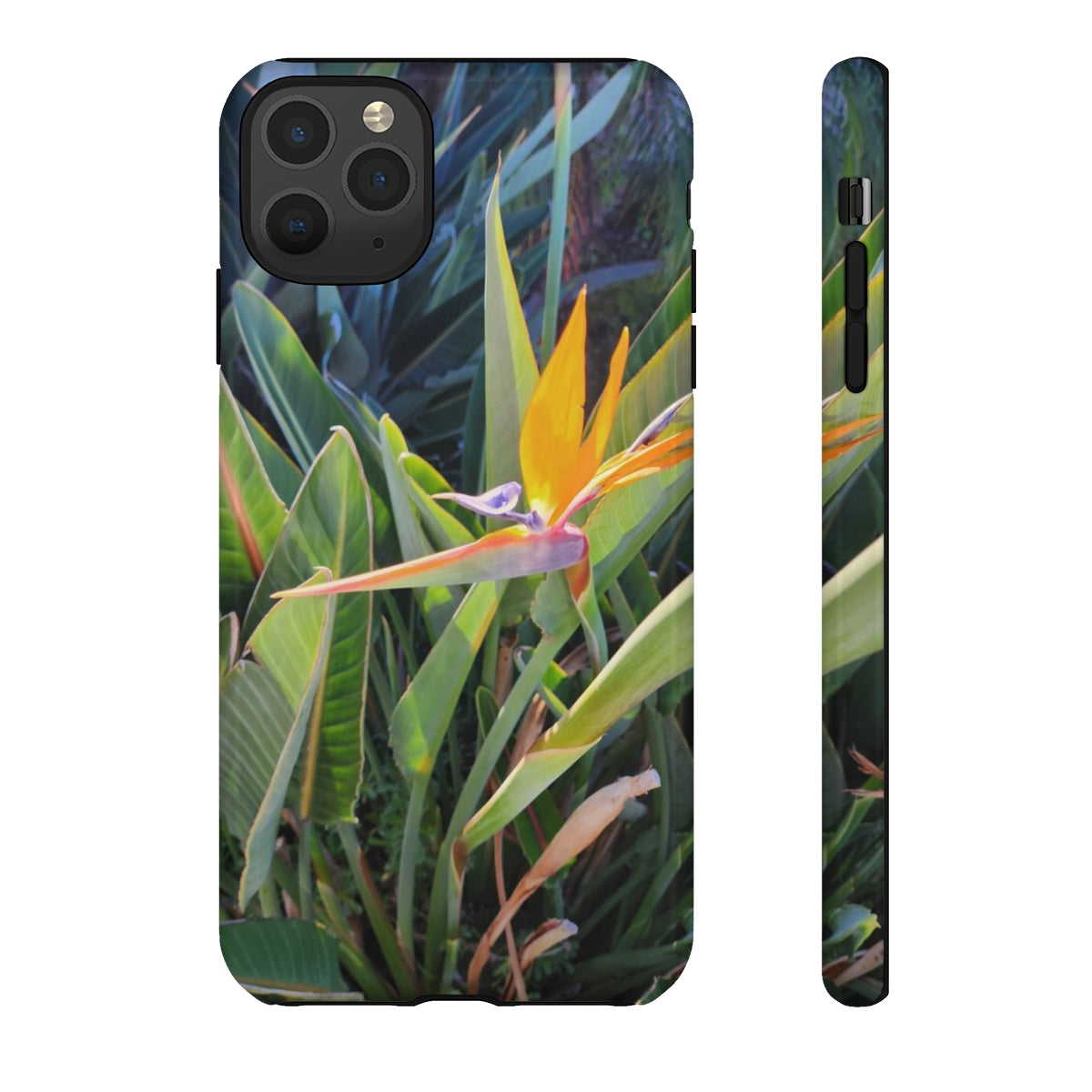 Island Style Bird of Paradise Tough Cases