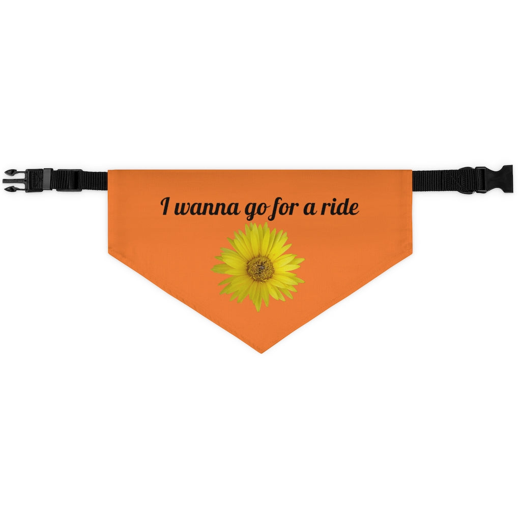 Floral "Daisy Mum" "I wanna go for a ride" Pet Bandana Collar - Black print