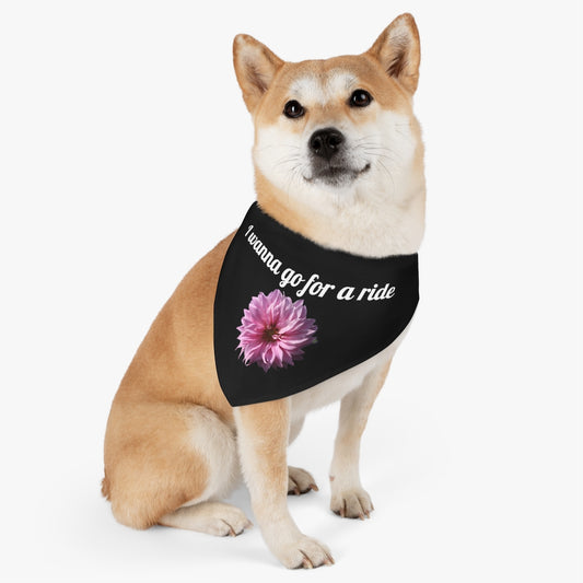 Floral "Perfectly Pink" "I wanna go for a ride" Pet Bandana Collar - White print