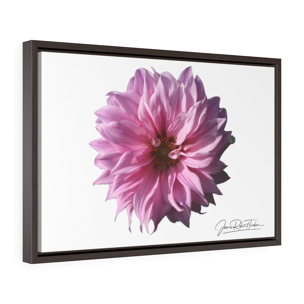 "Perfectly Pink" Gallery Canvas Wrap, Horizontal Frame