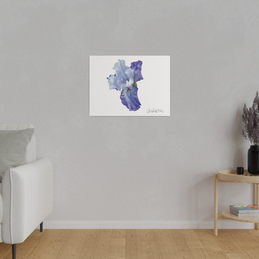 "Lavender Iris" Matte Canvas, Stretched