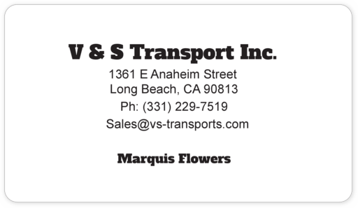 V & S Transport Business Cards