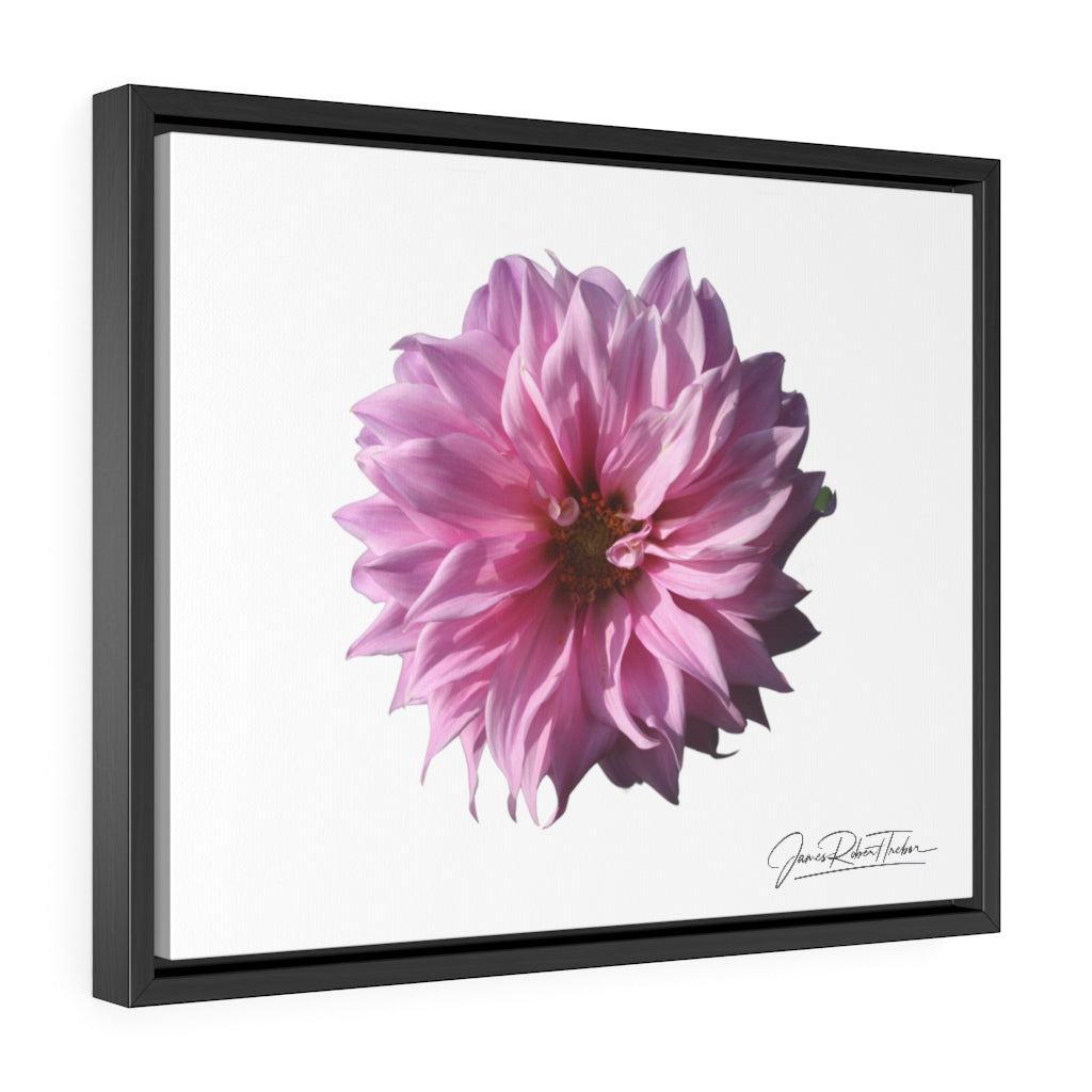 "Perfectly Pink" Gallery Canvas Wrap, Horizontal Frame