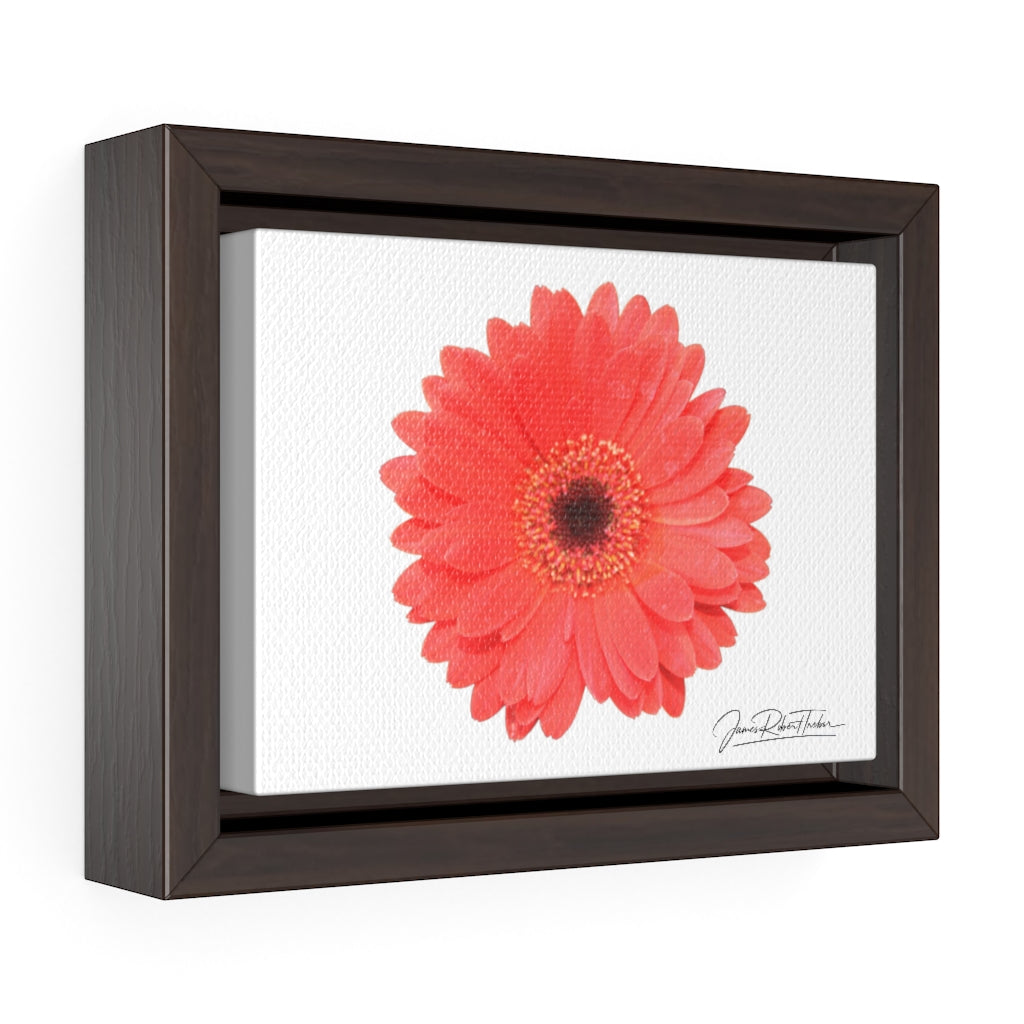 "Coral Gerber" Gallery Canvas Wraps, Horizontal Frame