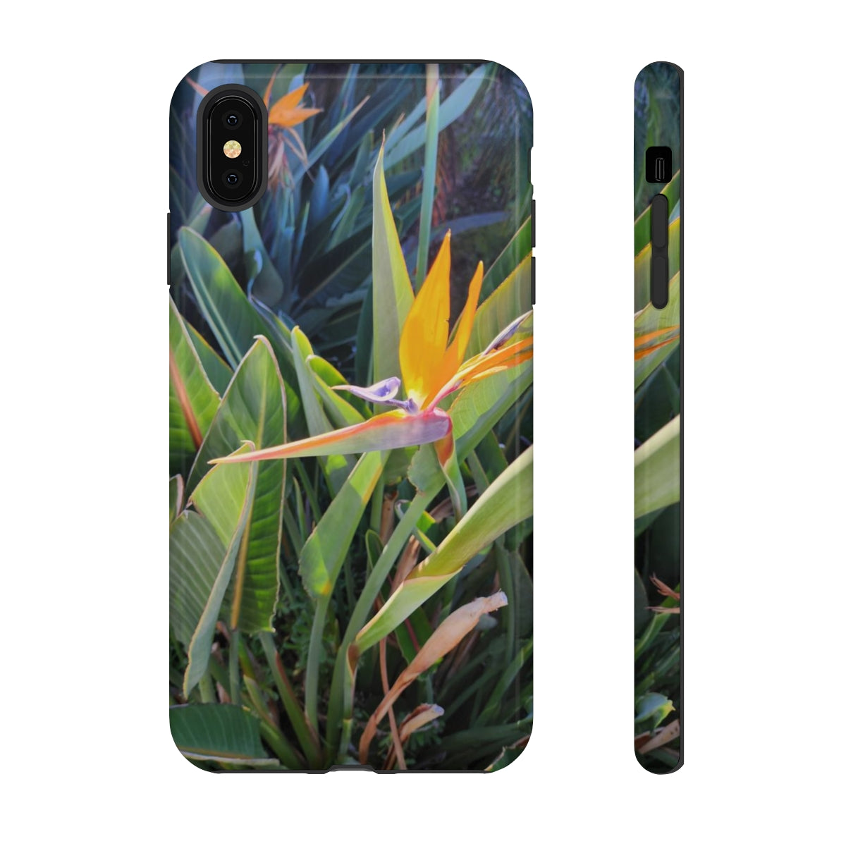 Island Style Bird of Paradise Tough Cases