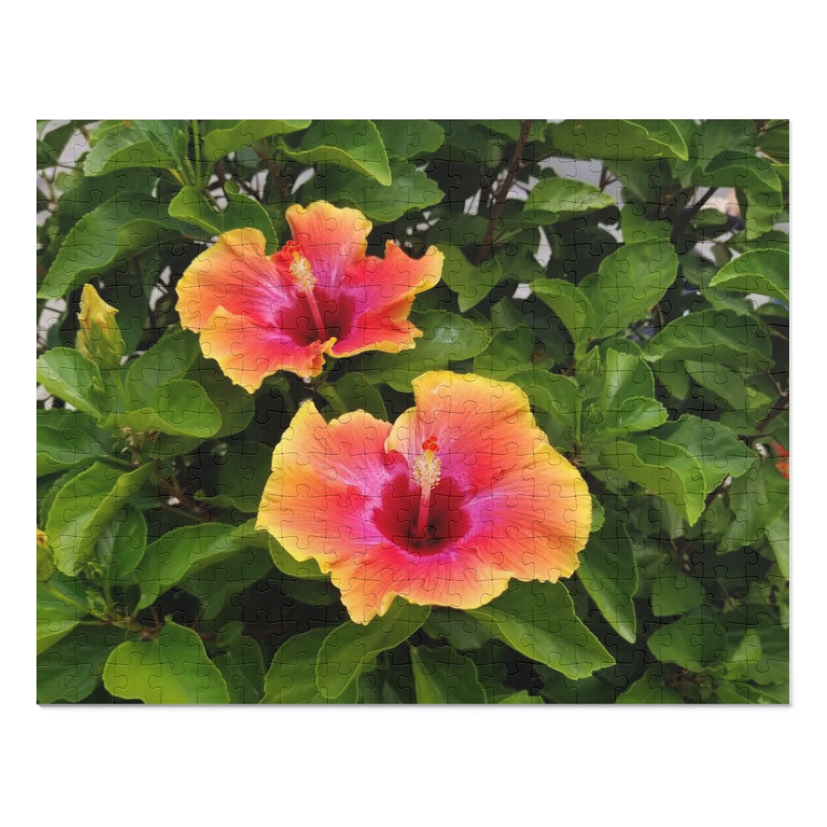 Island Style Hibiscus Jigsaw Puzzle (252, 500-Piece)