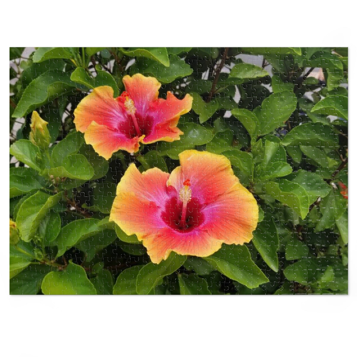 Island Style Hibiscus Jigsaw Puzzle (252, 500-Piece)