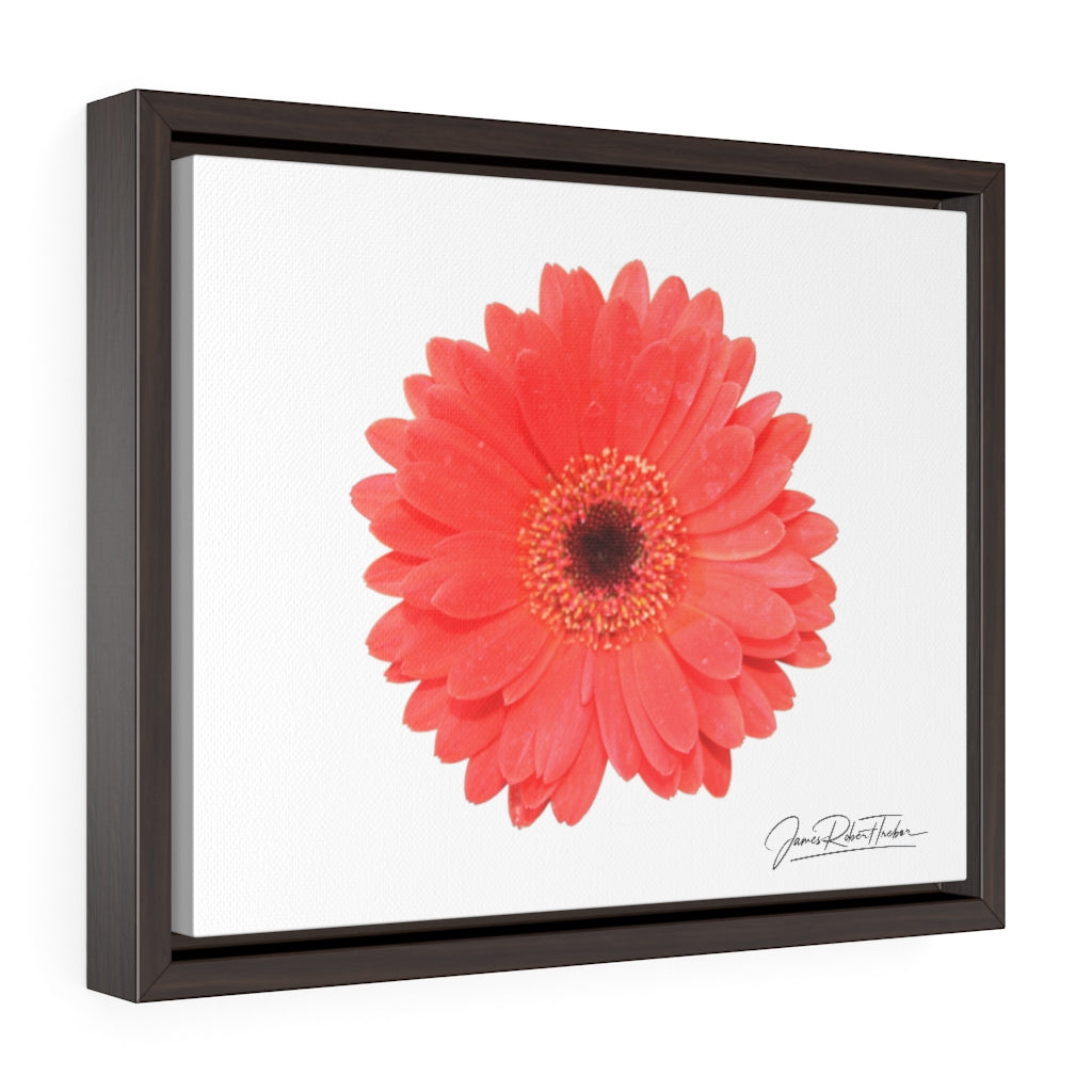 "Coral Gerber" Gallery Canvas Wraps, Horizontal Frame