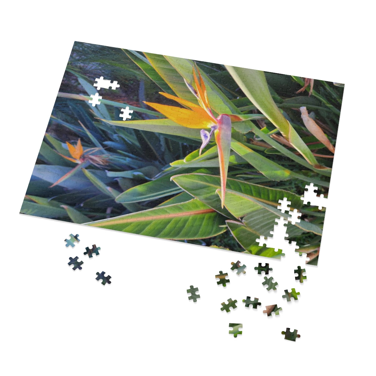 Island Style Bird of Paradise Jigsaw Puzzle (252, 500-Piece)