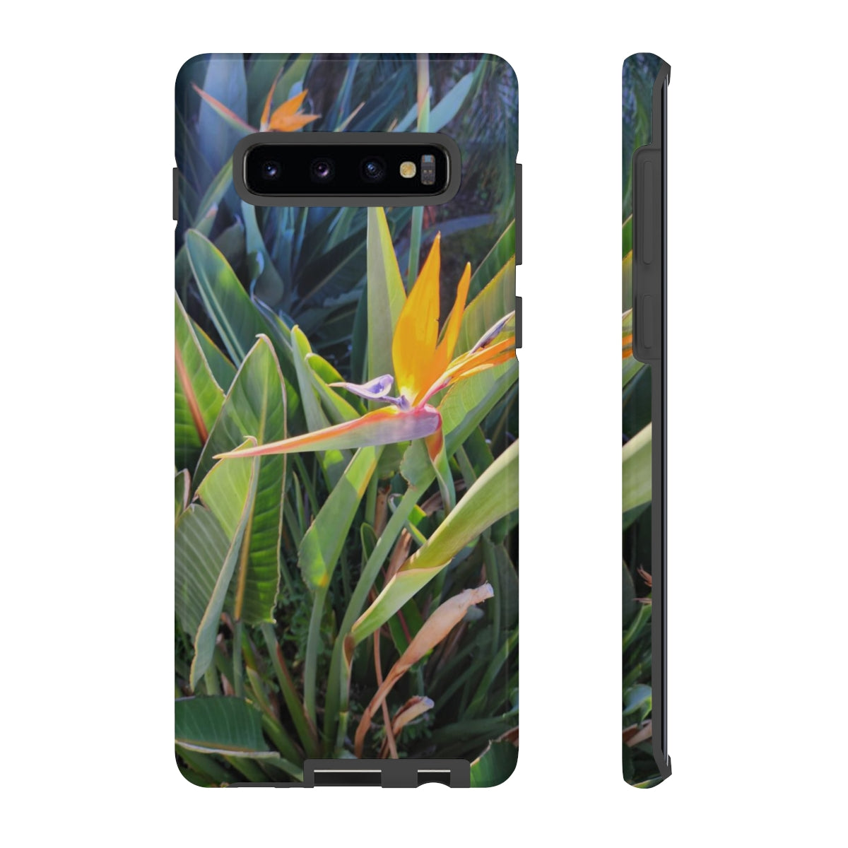 Island Style Bird of Paradise Tough Cases