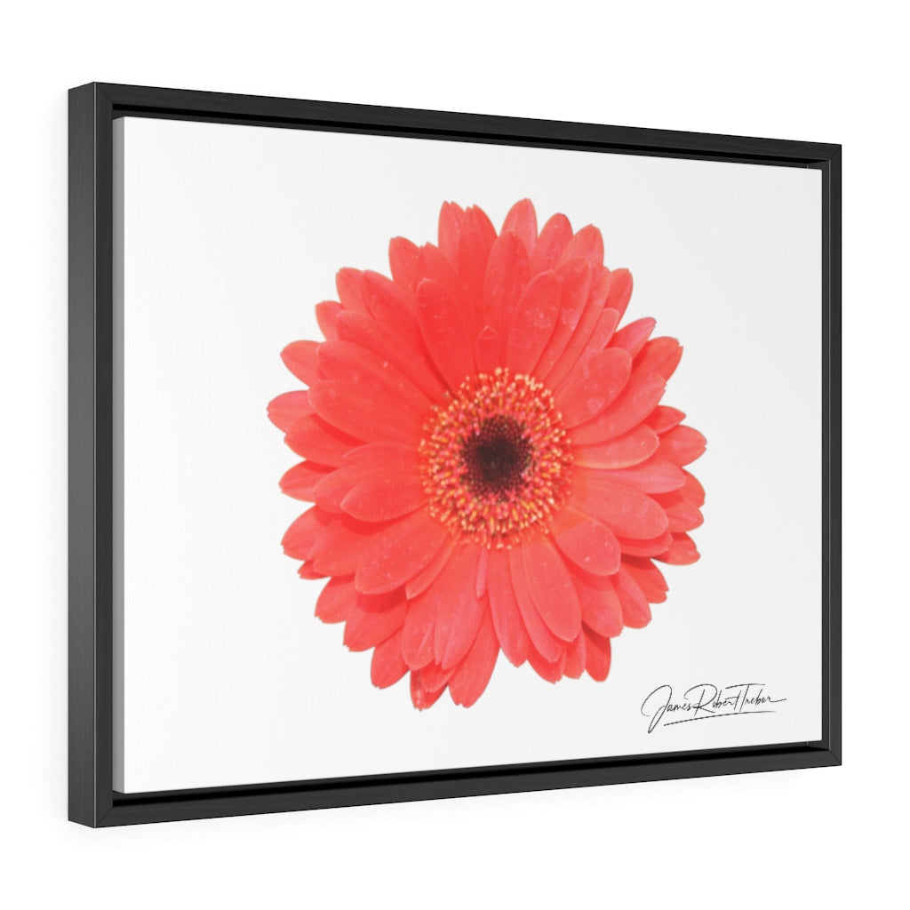 "Coral Gerber" Gallery Canvas Wraps, Horizontal Frame