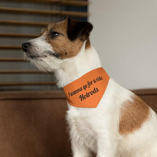 Hotrods "I wanna go for a ride" Pet Bandana Collar - Black print