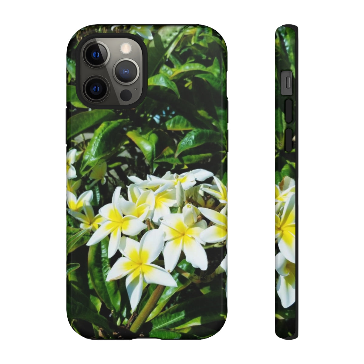 Island Style Plumeria Tough Cases