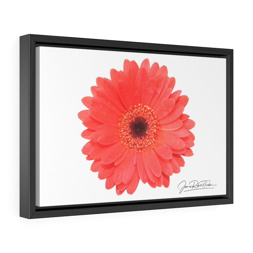 "Coral Gerber" Gallery Canvas Wraps, Horizontal Frame