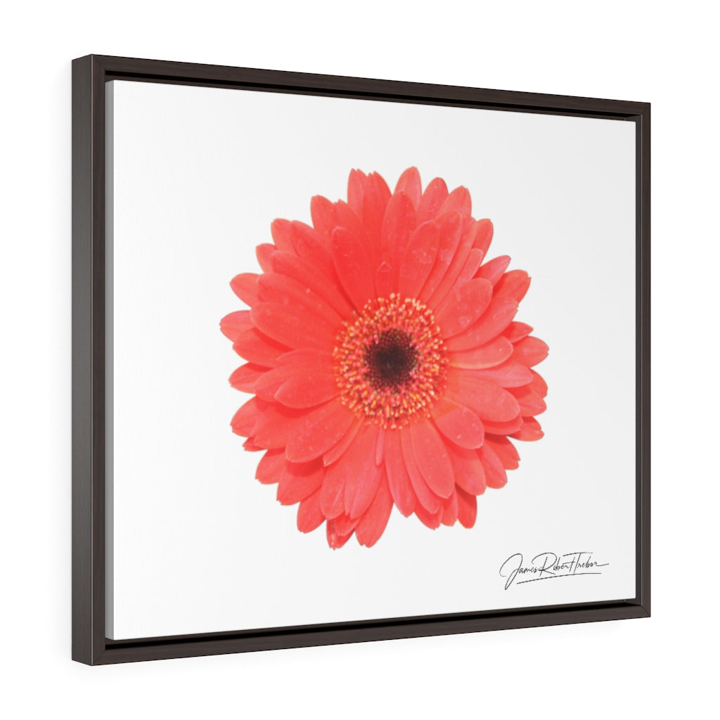 "Coral Gerber" Gallery Canvas Wraps, Horizontal Frame