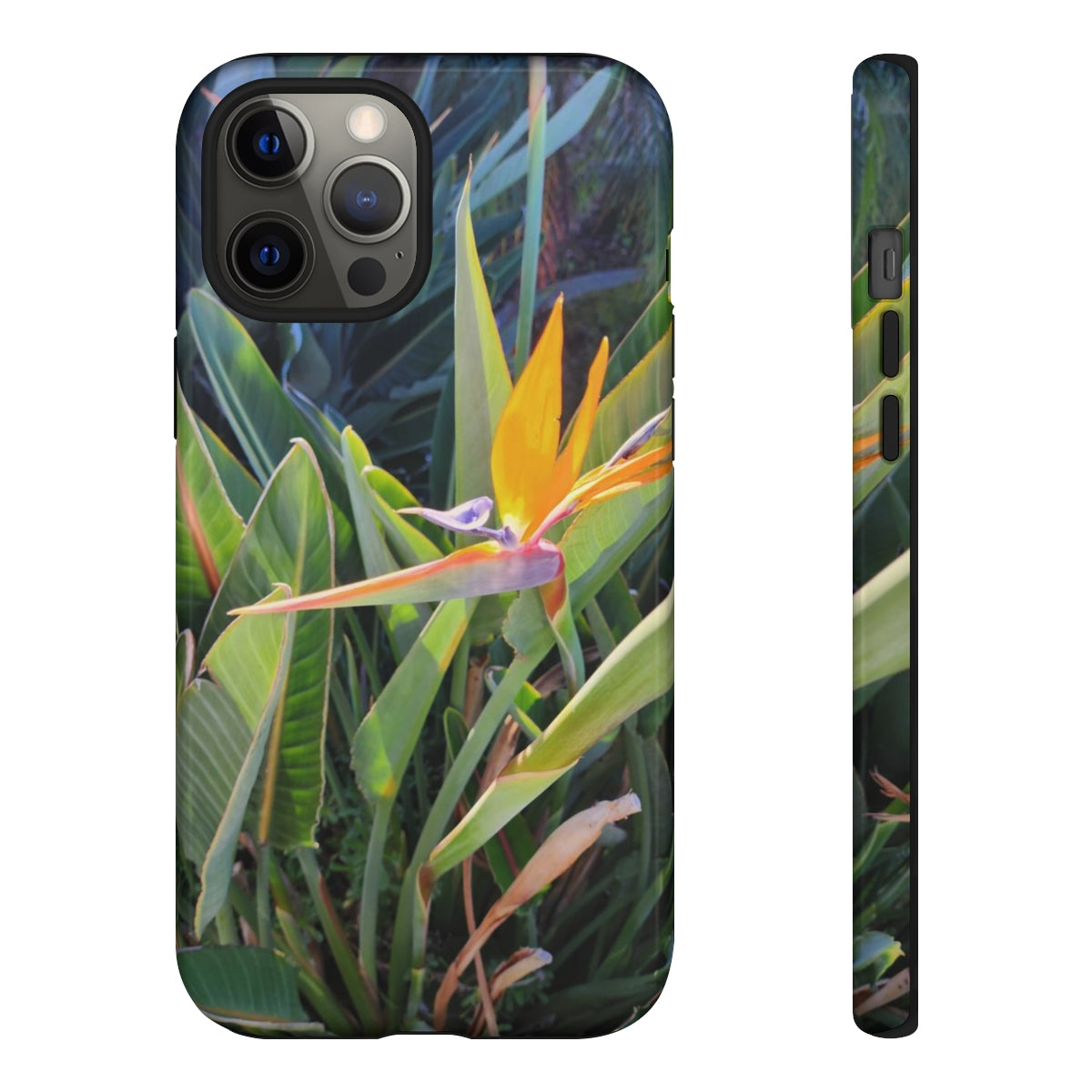 Island Style Bird of Paradise Tough Cases