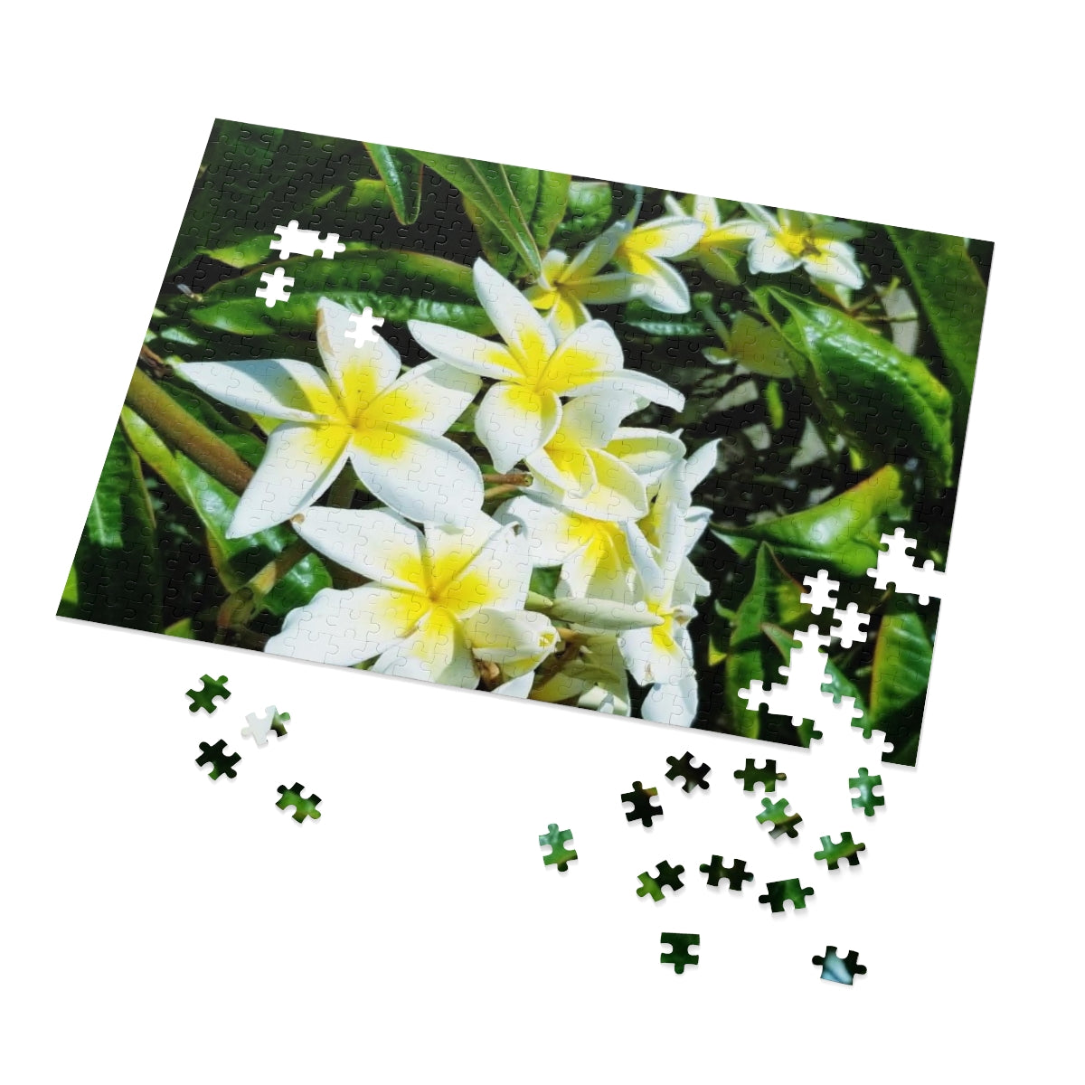 Island Style Plumeria Jigsaw Puzzle (252, 500-Piece)