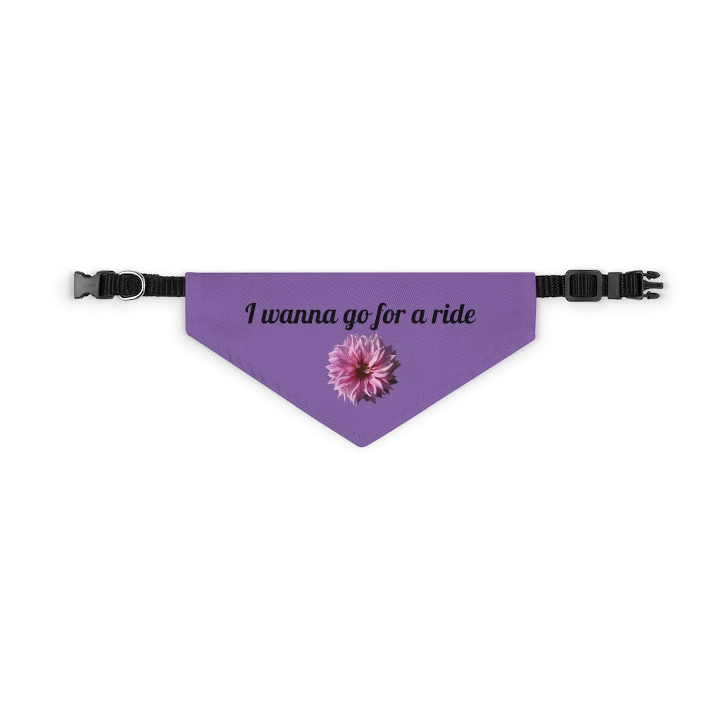 Floral "Perfectly Pink" "I wanna go for a ride" Pet Bandana Collar - Black print