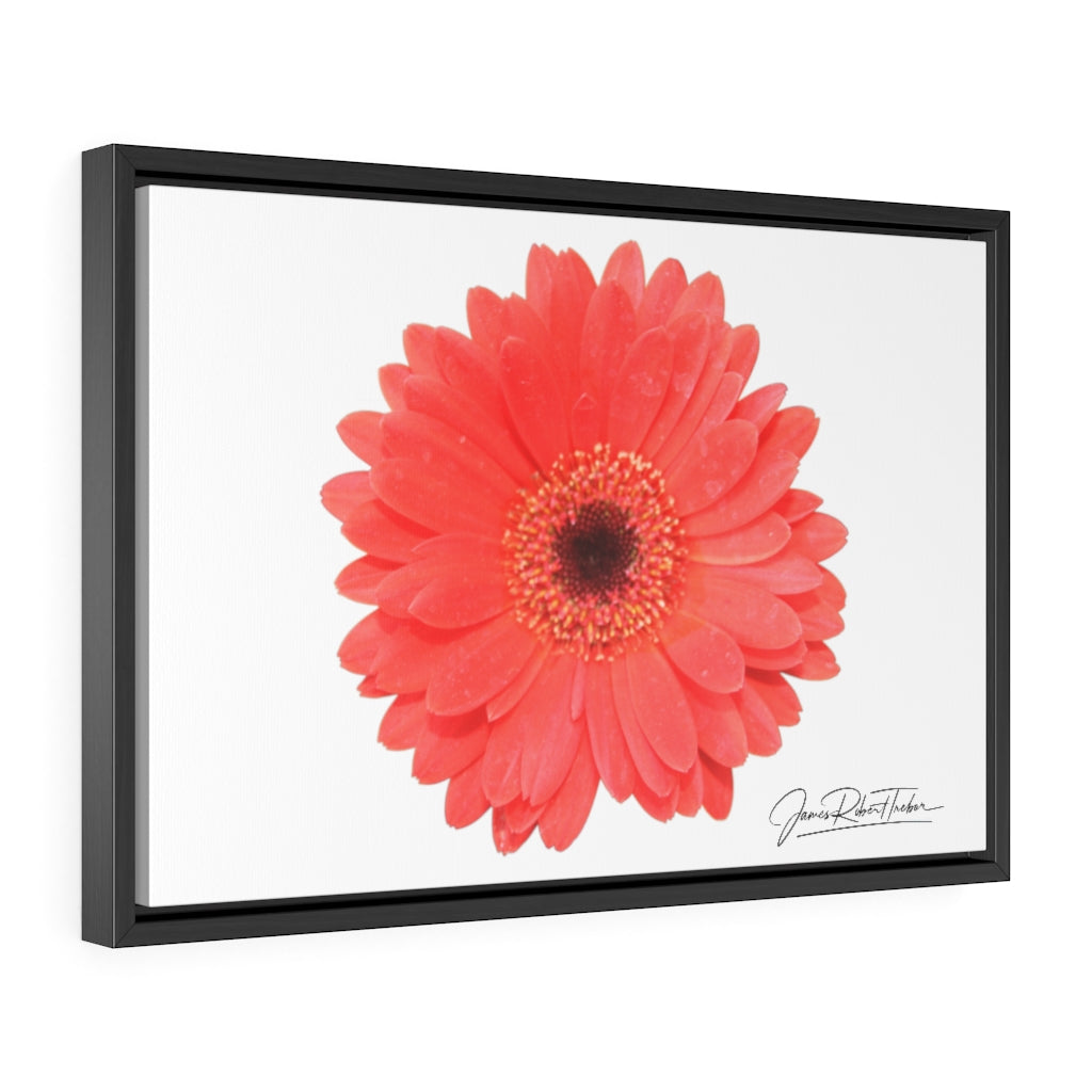 "Coral Gerber" Gallery Canvas Wraps, Horizontal Frame