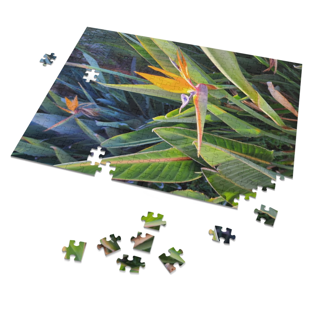 Island Style Bird of Paradise Jigsaw Puzzle (252, 500-Piece)