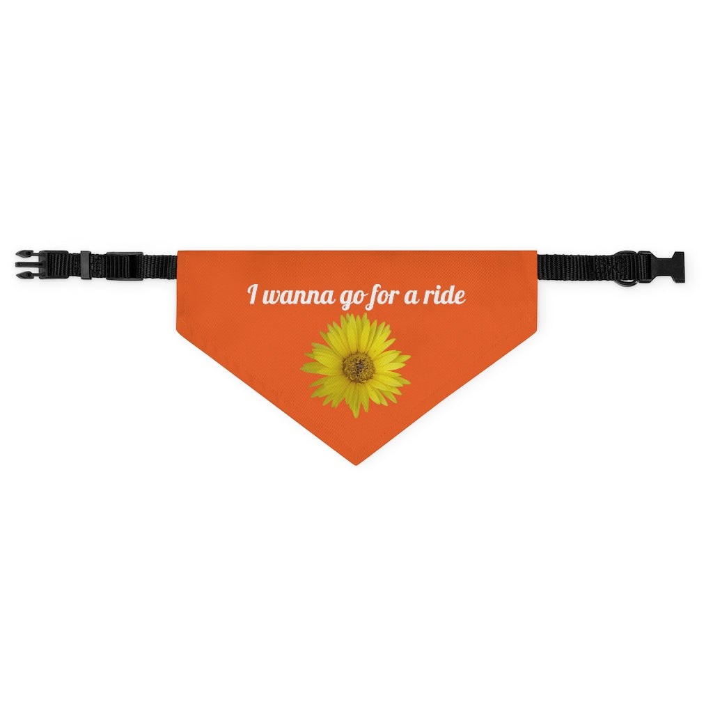 Floral "Daisy Mum - I wanna go for a ride" Pet Bandana Collar - White print